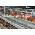 Poul Tech Neue Art Galvanisierung Schicht Huhn Käfig System